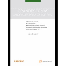 GRANDES TEMAS LABORALES PARA LA EMPRESA - 2013